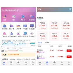 前端vue 后端Java股票交易源码/大宗交易源码/与新股申购系统源码/带视频搭建教程